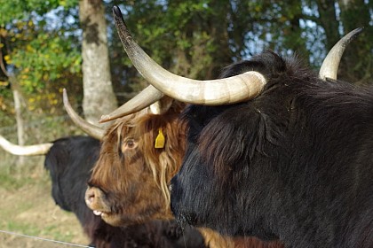 Ferme de Jean Marouty