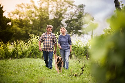 Domaine de Cabarrouy