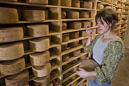 Ferme Le Château - Gaec Artzainak