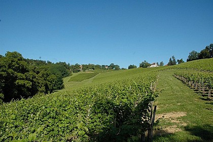 Domaine Lapeyre-Guilhemas