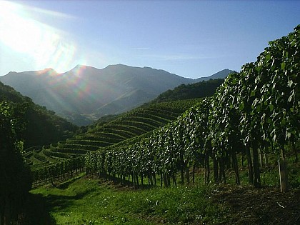 Domaine Etxegaraya