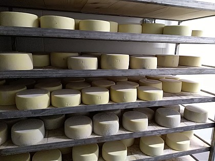 Producteur de fromage - Ferme Etxepareborda
