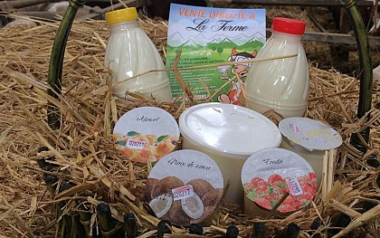 Ferme Marty-Débat - EARL Monguilhet