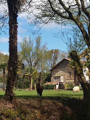 Château Saint Martin