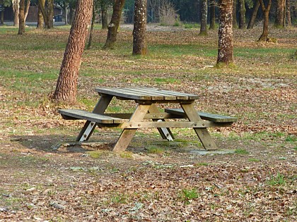 Aire de pique-nique du Gressier au Porge-Océan