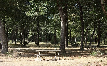 Aire de pique-nique de Gleize-Vieille