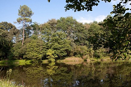 Etang de pêche de Mouneyre