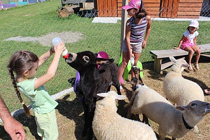 La petite ferme de Pouillon