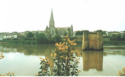 Piles de l'ancien pont métallique de Langon