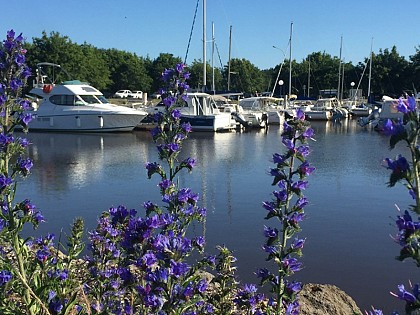 Port de plaisance du Teich
