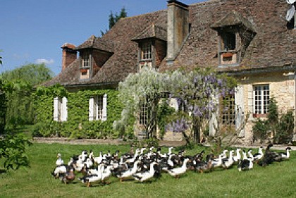 Ferme Auberge de Biorne
