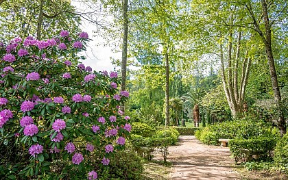 Le jardin des Thermes