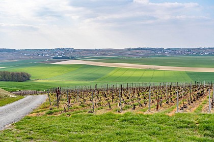 Point de vue sur 7 clochers