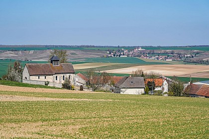 Point de vue sur les vignes