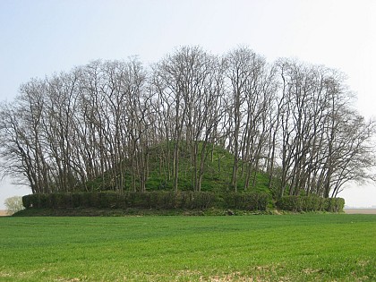 Tumulus d'Hottomont