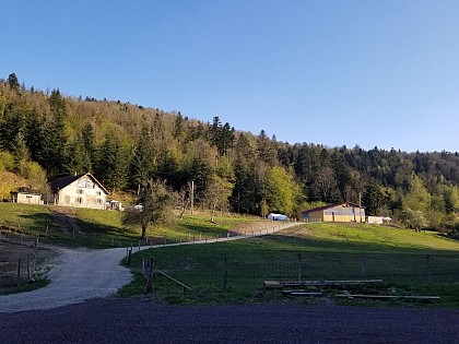 Aire de stationnement à la ferme