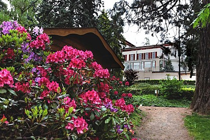 Parc municipal - Saint-Galmier