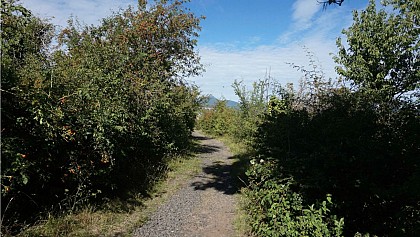 Puy d'Aubière