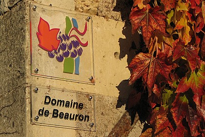 Domaine de Beauron - B&B Roger Vignerons