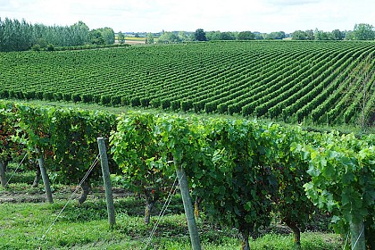 Domaine des Trois Pierres