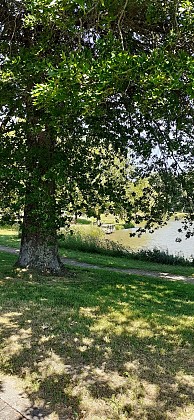 Plan d'eau Saint-Aubin-Le-Cloud