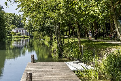 Coulon, capitale de la Venise Verte