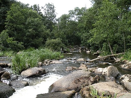 Sentier d'Interpétation de la Sèvre Nantaise