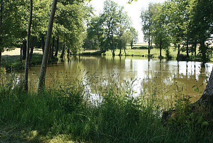 Les sources du Thouet