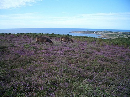 Un site naturel protégé