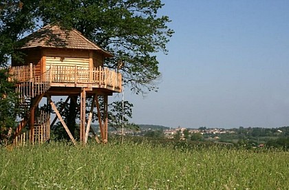 Cabanes perchées dans les arbres