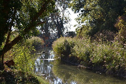 Meander of the Seulles