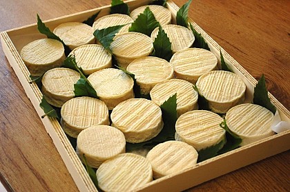 Les fromages Bortolin