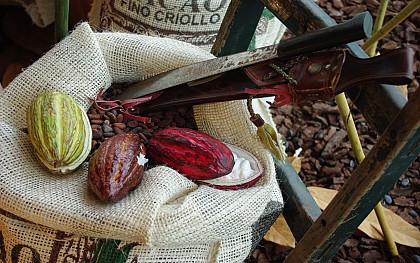 Chocolaterie - Musée - Salon de Thé - Boutique Puyodebat