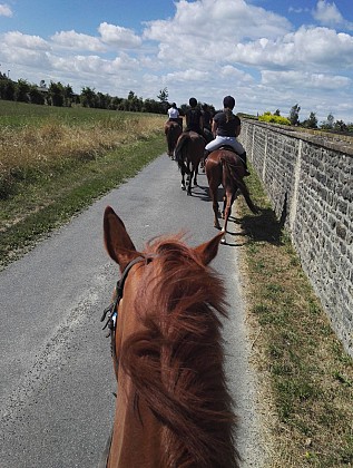 Les écuries du Littoral