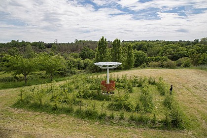 La Forêt d'Art Contemporain : Ronde des ombelles, oeuvre n°21