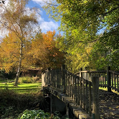 Jardin Botanique