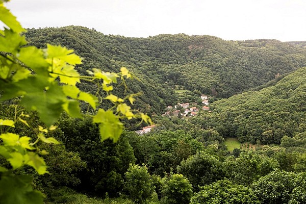Village Médiéval d'Hautpoul