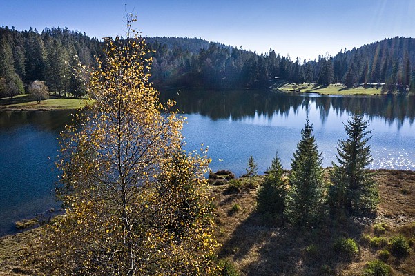 Lac Genin et ses tourbières