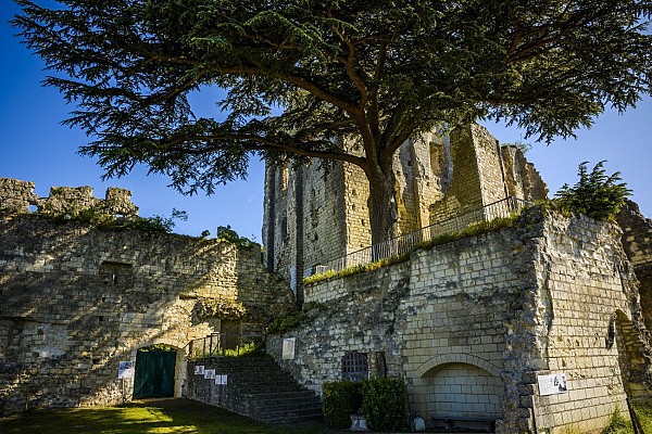 Donjon de Montrichard