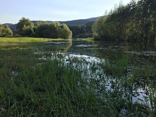 Rivière et lac Val d'Oignin