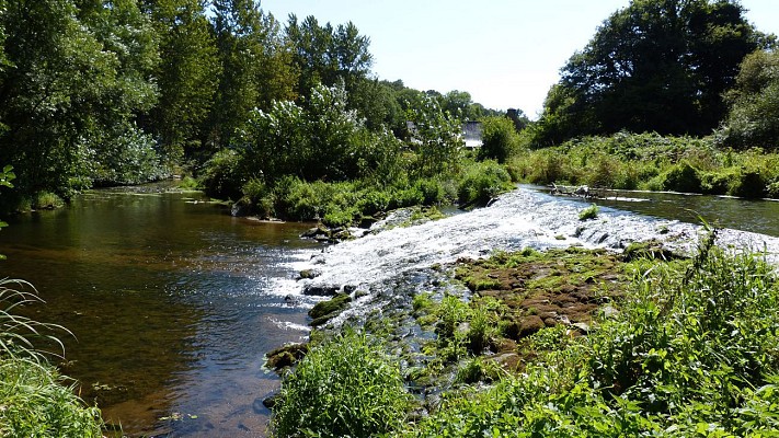 Le Lié