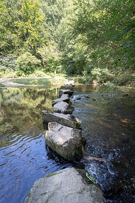 Site de la Roche-au-Cerf