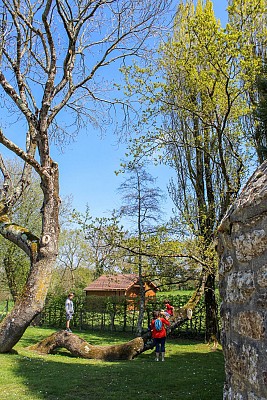 A pied - Les sous-bois de Vaumoisson