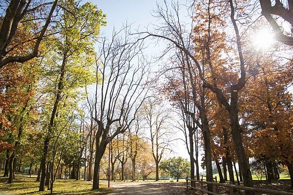 Parc de Déomas