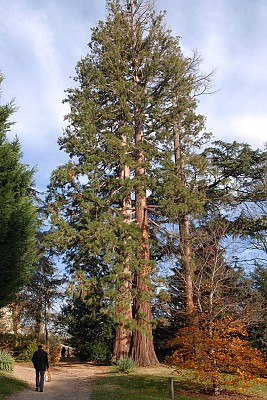 Parc Saint Exupéry