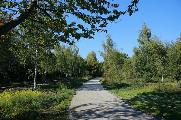 Le canal