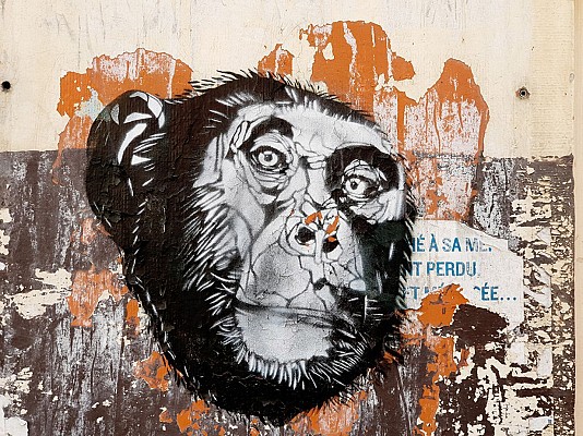 Mur Collectif rue du Grand Chemin
