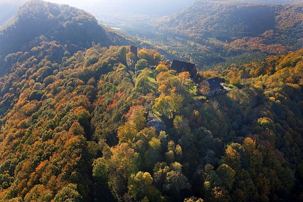 Circuit forestier du château de Hunebourg