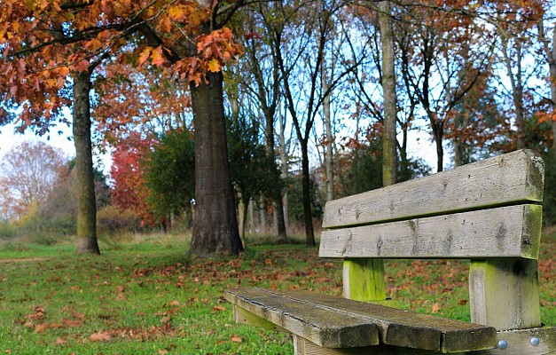 Arboretum