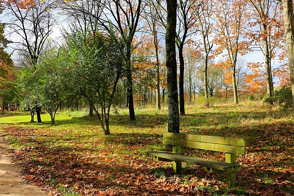 Arboretum